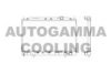 AUTOGAMMA 101453 Radiator, engine cooling